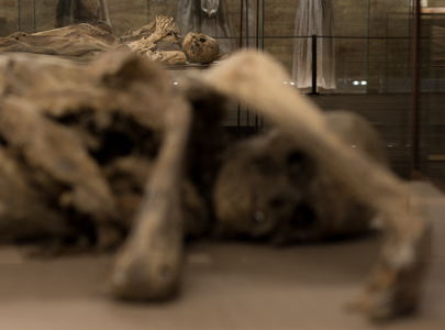 Monsampolo del Tronto - Museo della Cripta_DSC_5349